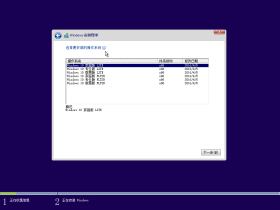 【YLX】Windows 10 10240 x86x64 轻量版集 2016.6.26 Final